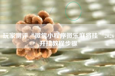 玩家测评“微信小程序微乐麻将挂”2026开挂教程步骤