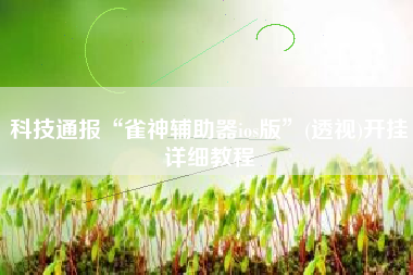 科技通报“雀神辅助器ios版	”(透视)开挂详细教程