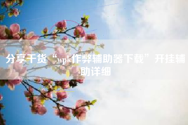 分享干货“wpk作弊辅助器下载”开挂辅助详细