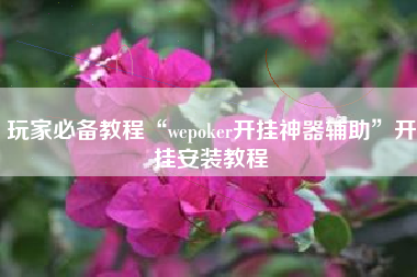 玩家必备教程“wepoker开挂神器辅助”开挂安装教程