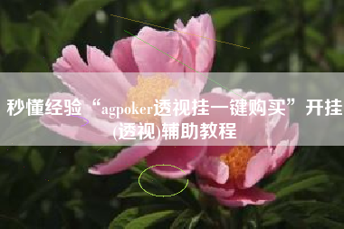 秒懂经验“agpoker透视挂一键购买”开挂(透视)辅助教程