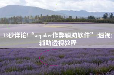 18秒详论!“wepoker作弊辅助软件”(透视)辅助透视教程