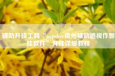 辅助开挂工具“wepoker德州辅助透视作弊挂软件”开挂详细教程