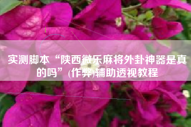 实测脚本“陕西微乐麻将外卦神器是真的吗”(作弊)辅助透视教程