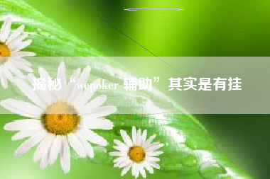 揭秘“wepoker 辅助”其实是有挂