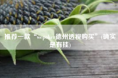 推荐一款“wepoker德州透视购买”(确实是有挂)