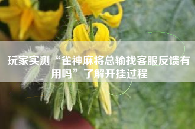 玩家实测“雀神麻将总输找客服反馈有用吗”了解开挂过程