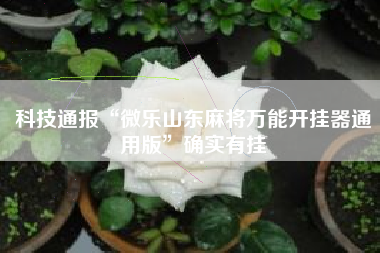 科技通报“微乐山东麻将万能开挂器通用版”确实有挂