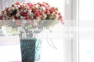 介绍一款“wepoker私人局开挂透视辅助软件	”真实开挂技巧分享