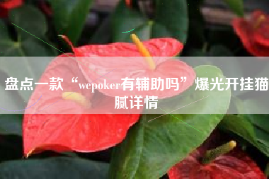 盘点一款“wepoker有辅助吗”爆光开挂猫腻详情