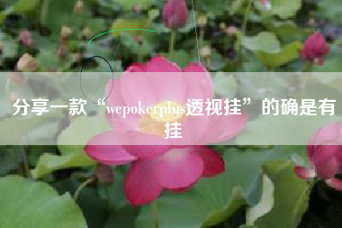 分享一款“wepokerplus透视挂”的确是有挂
