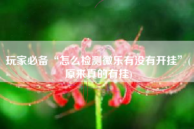 玩家必备“怎么检测微乐有没有开挂	”(原来真的有挂)