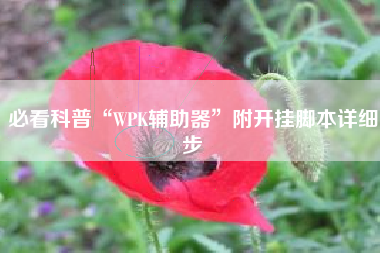 必看科普“WPK辅助器	”附开挂脚本详细步