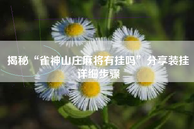 揭秘“雀神山庄麻将有挂吗”分享装挂详细步骤