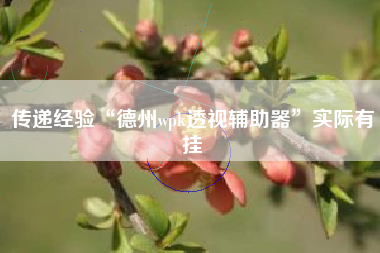 传递经验“德州wpk透视辅助器”实际有挂