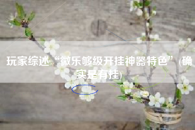 玩家综述“微乐够级开挂神器特色”(确实是有挂)