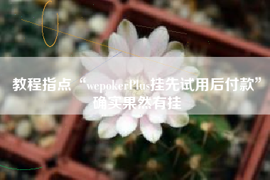 教程指点“wepokerPlus挂先试用后付款	”确实果然有挂