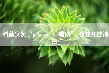 科普实测“pokermaster辅助”(必胜开挂神器)