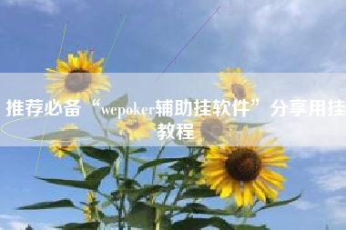 推荐必备“wepoker辅助挂软件	”分享用挂教程