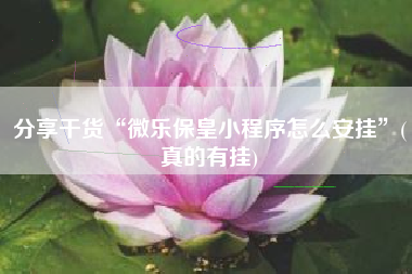 分享干货“微乐保皇小程序怎么安挂”(真的有挂)