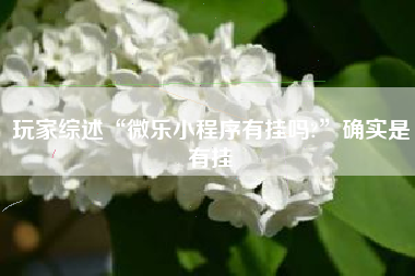 玩家综述“微乐小程序有挂吗?	”确实是有挂