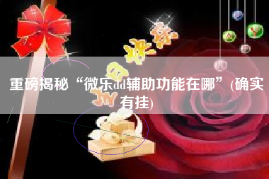 重磅揭秘“微乐dd辅助功能在哪	”(确实有挂)