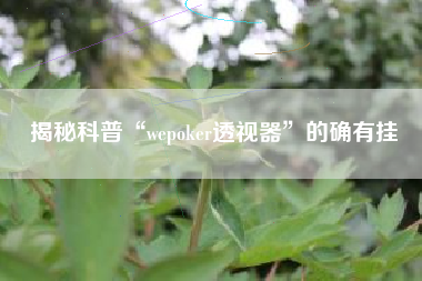 揭秘科普“wepoker透视器”的确有挂