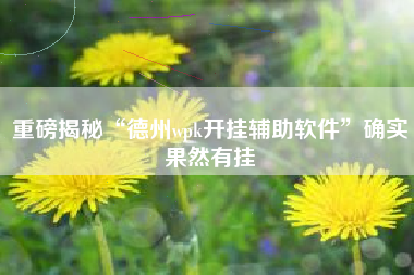 重磅揭秘“德州wpk开挂辅助软件”确实果然有挂