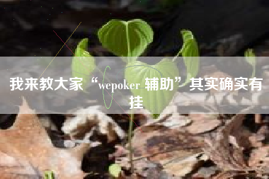 我来教大家“wepoker 辅助	”其实确实有挂