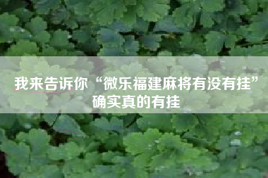我来告诉你“微乐福建麻将有没有挂”确实真的有挂