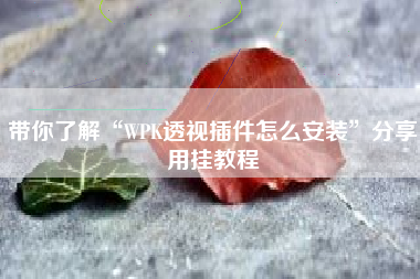 带你了解“WPK透视插件怎么安装	”分享用挂教程