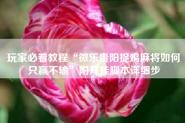 玩家必看教程“微乐贵阳捉鸡麻将如何只赢不输	”附开挂脚本详细步