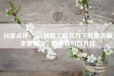 玩家点评“wpk辅助工具官方下载最新版本更新内	”原来真可以开挂