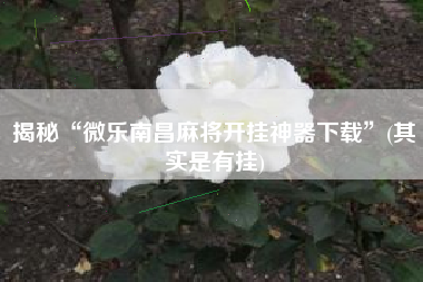 揭秘“微乐南昌麻将开挂神器下载	”(其实是有挂)