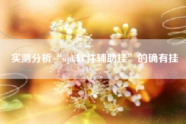 实测分析“wpk软件辅助挂	”的确有挂