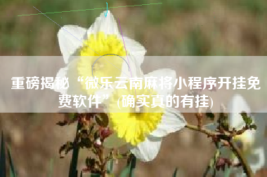 重磅揭秘“微乐云南麻将小程序开挂免费软件	”(确实真的有挂)