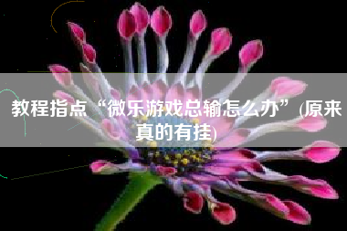 教程指点“微乐游戏总输怎么办	”(原来真的有挂)