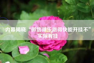 内幕揭晓“微信微乐跑得快能开挂不”实际有挂