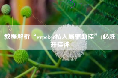 教程解析“wepoker私人局辅助挂”(必胜开挂神