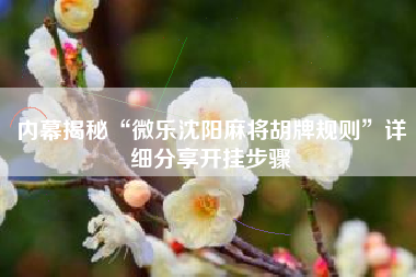 内幕揭秘“微乐沈阳麻将胡牌规则”详细分享开挂步骤