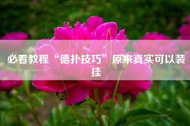 必看教程“德扑技巧”原来真实可以装挂