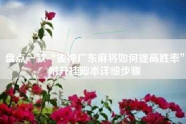 盘点一款“雀神广东麻将如何提高胜率”附开挂脚本详细步骤