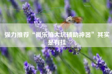 强力推荐“微乐填大坑辅助神器	”其实是有挂