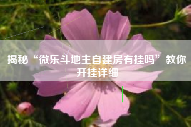 揭秘“微乐斗地主自建房有挂吗”教你开挂详细