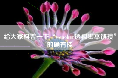 给大家科普一下“wepoker透视脚本链接”的确有挂
