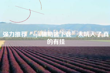 强力推荐“wpk辅助器下载”太坑人了,真的有挂