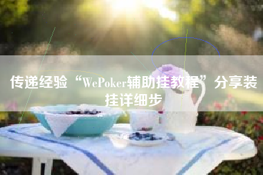 传递经验“WePoker辅助挂教程	”分享装挂详细步