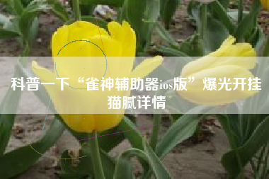 科普一下“雀神辅助器ios版”爆光开挂猫腻详情