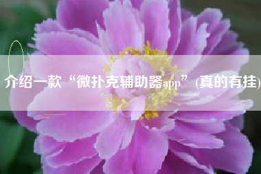 介绍一款“微扑克辅助器app”(真的有挂)