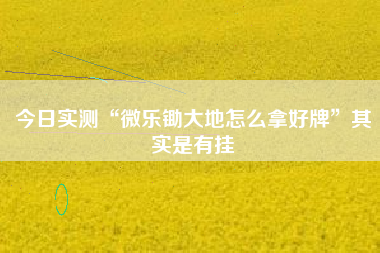 今日实测“微乐锄大地怎么拿好牌”其实是有挂
